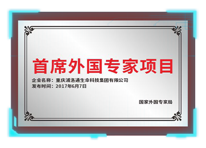 首席外国专家项目