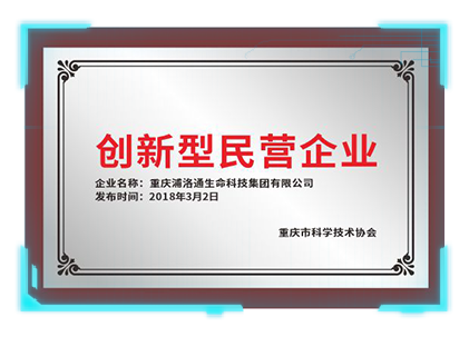 创新型民营企业