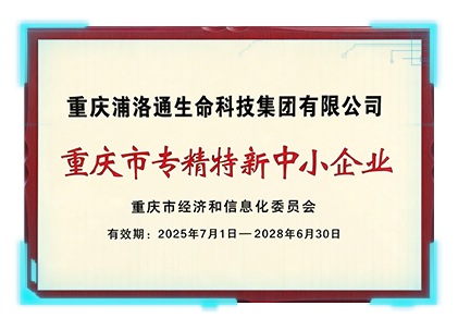 重庆市专精特新中小企业