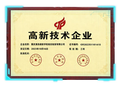 高新技术企业