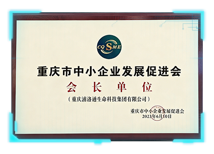 重庆市中小企业发展促进会会长单位